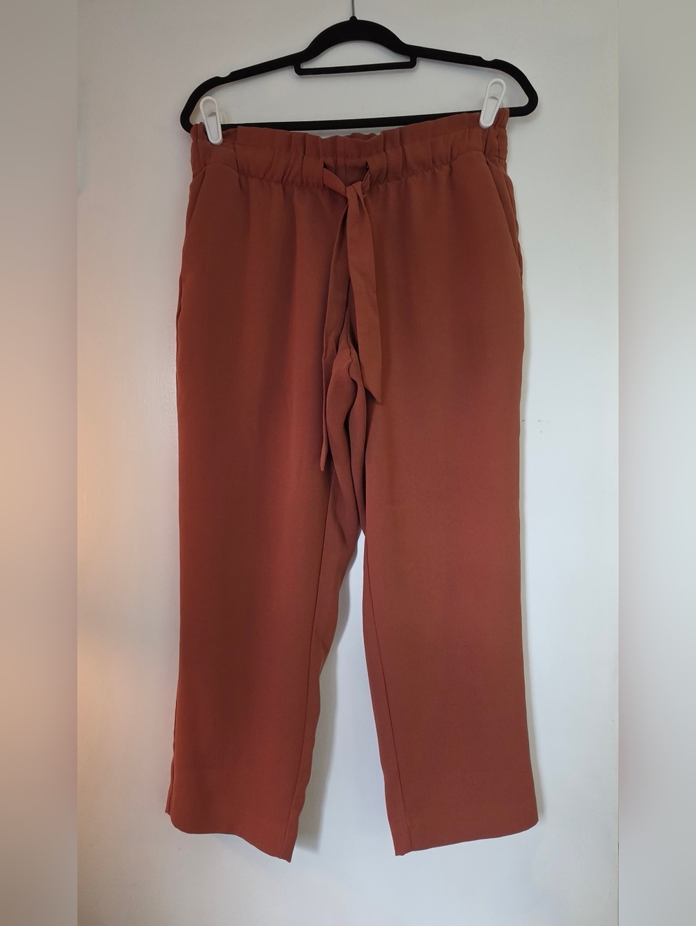 LOFT Rust Cropped Drawstring Waist Pants